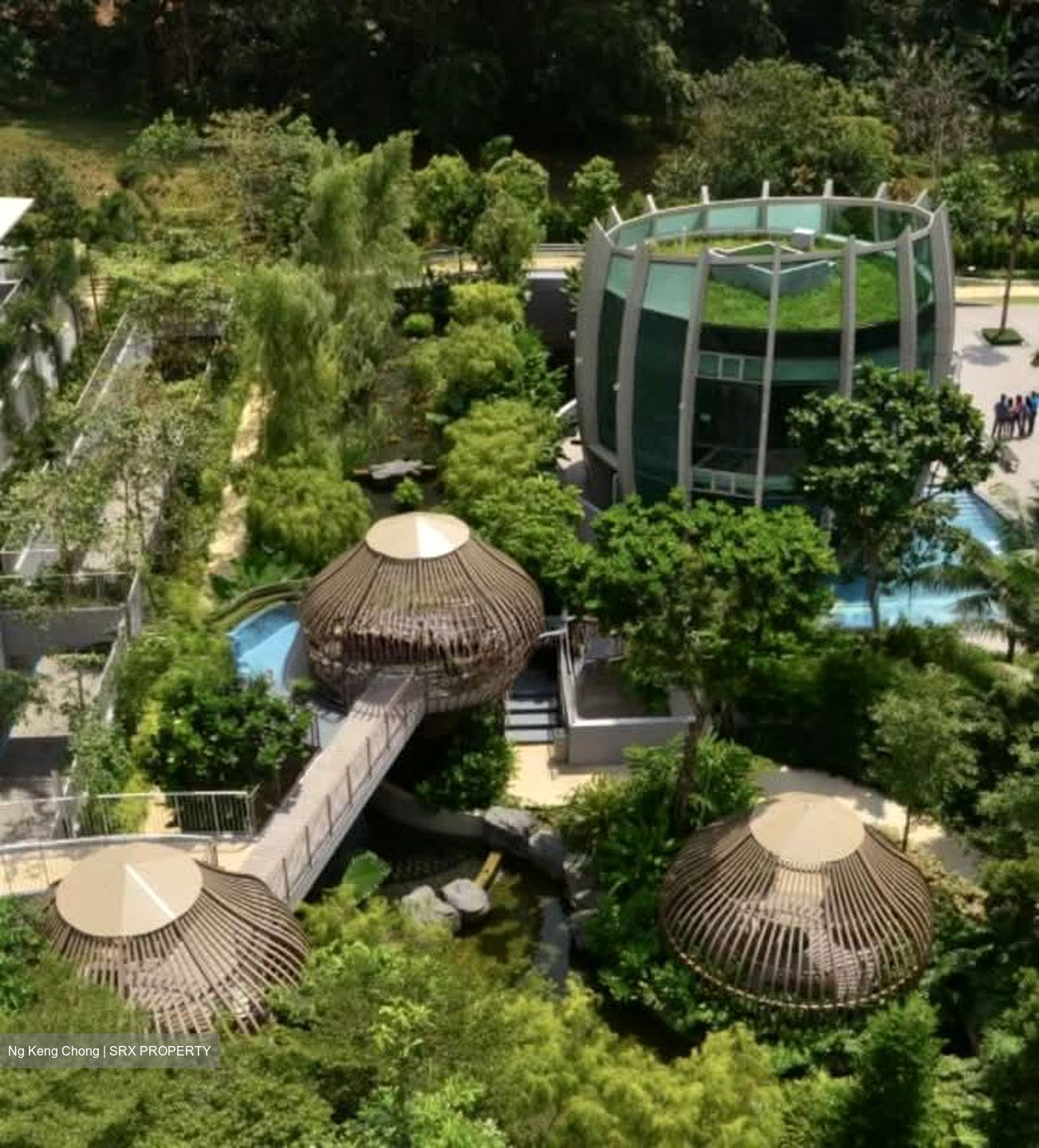 Tree House (D23), Condominium #562081111